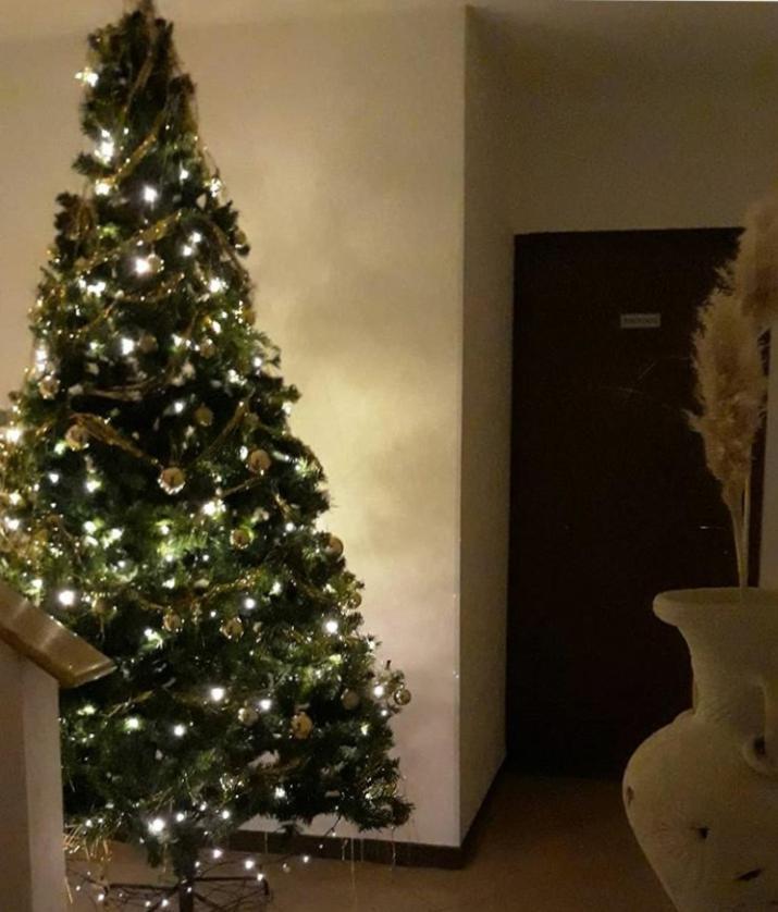 Bed and Breakfast Le Tre Stelle Ronco allʼAdige Exterior foto